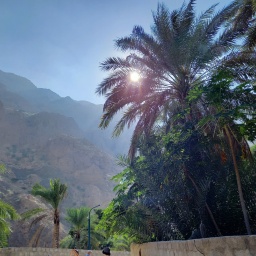 oman_rundreise_2025_29