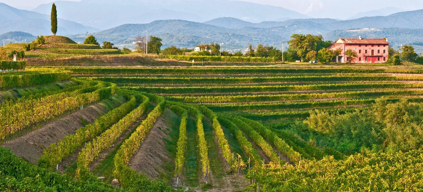 fProsecco Weinstraße mit Vicenza - Bassano del Grappa -  Marostica